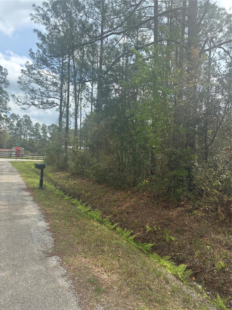 FLAGLER ESTATES - Land