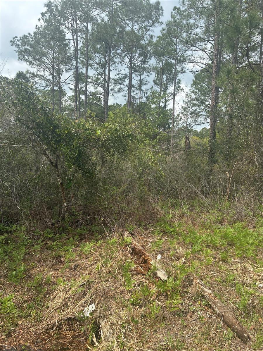 FLAGLER ESTATES - Land