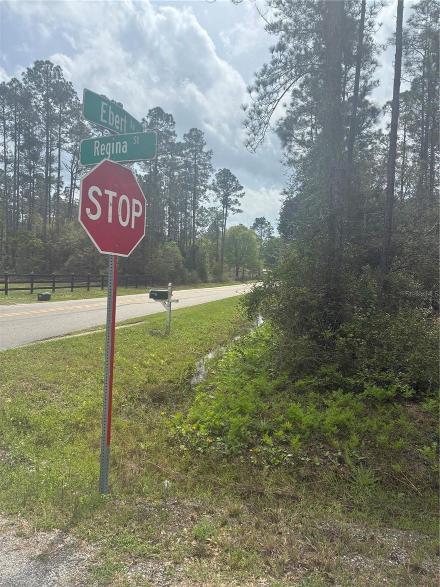 Beautiful Country Corner Lot located in a developing area of Flagler Estates: Easy access to Flagler Estates Blvd. and the local Country Store located at the entrance of Flagler Estates and CR204. High and Dry! Owner has a culvert and drive started midway into the lot on Ebert Avenue between the two signs. This LOCATION is very near the OLDEST CITY in the United States, St. Augustine! (US 1 to CR 204 to Flagler Estates Blvd. to Ebert to Regina) PERFECT LOCATION!  Offers are WELCOME!