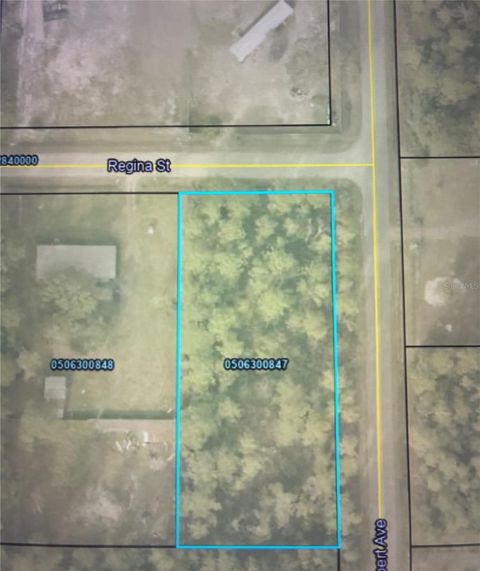 4205 REGINA STREET HASTINGS FL 32145