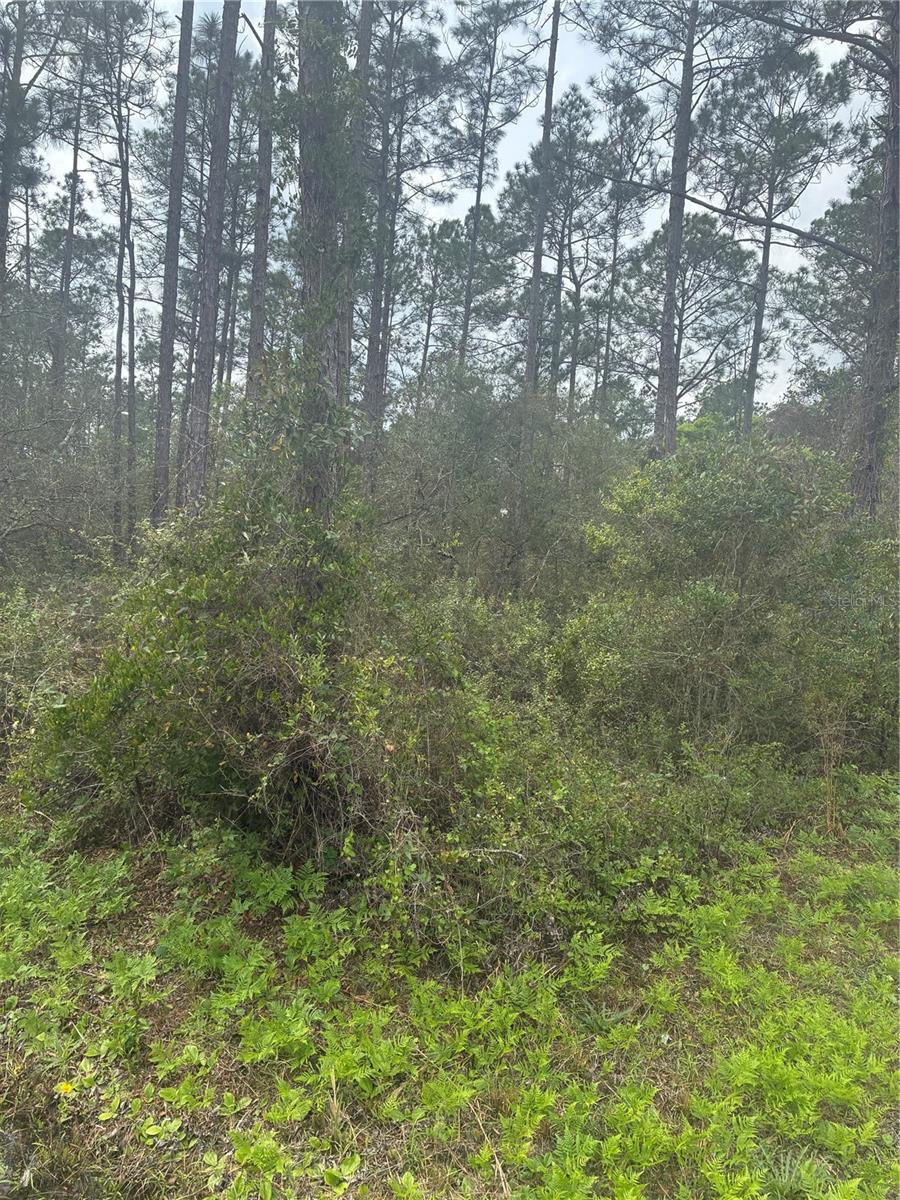 FLAGLER ESTATES - Land