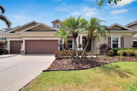 A home in APOLLO BEACH