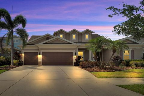 A home in APOLLO BEACH