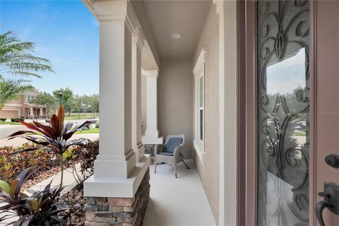 A home in APOLLO BEACH