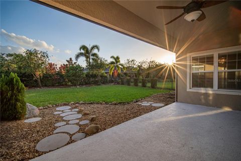 A home in APOLLO BEACH