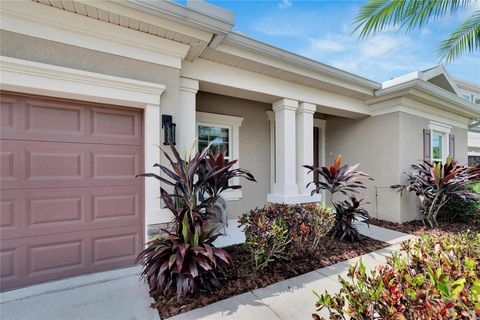 A home in APOLLO BEACH