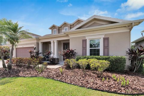 A home in APOLLO BEACH