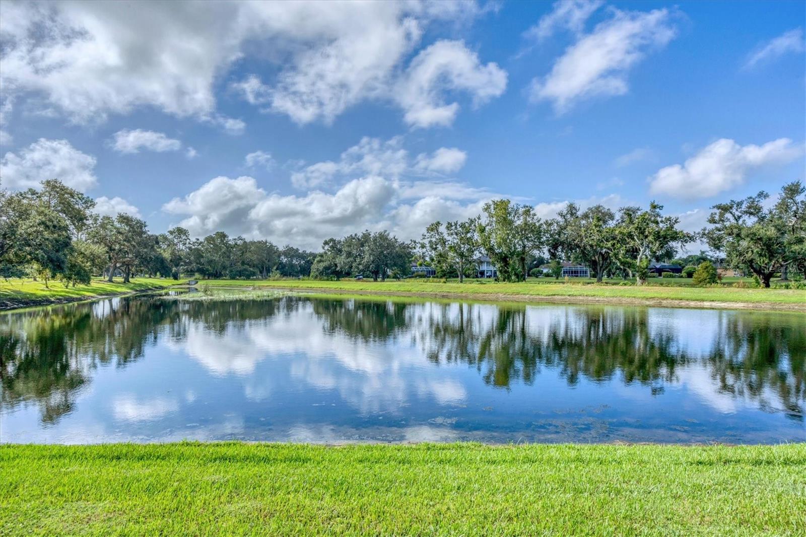 PALMBROOKE AT RIVER CLUB NORTH - Residential