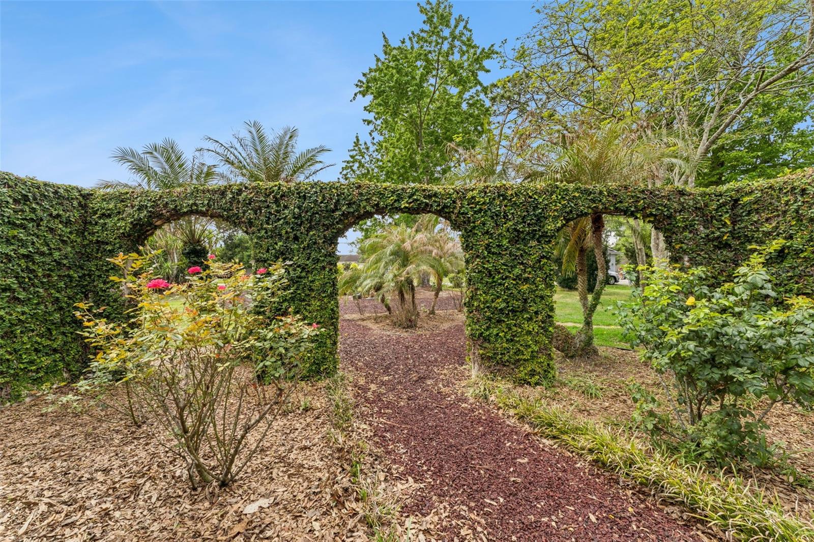 ORLANDO IMPROV CO 02 - Residential