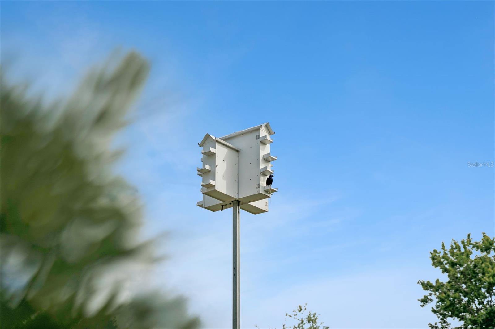 ORLANDO IMPROV CO 02 - Residential