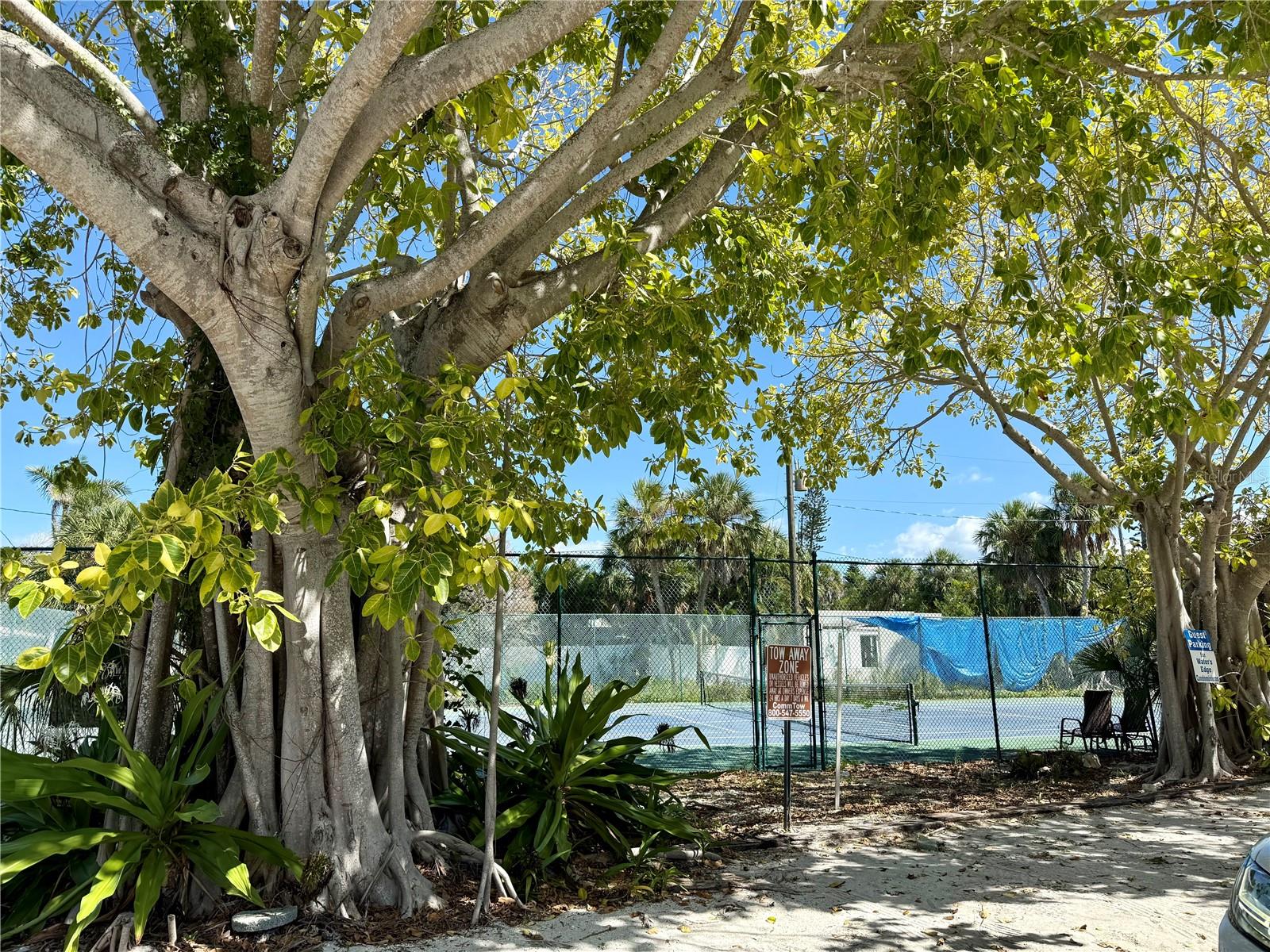 WATERS EDGE - Residential