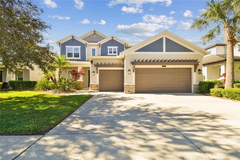 A home in LAND O LAKES