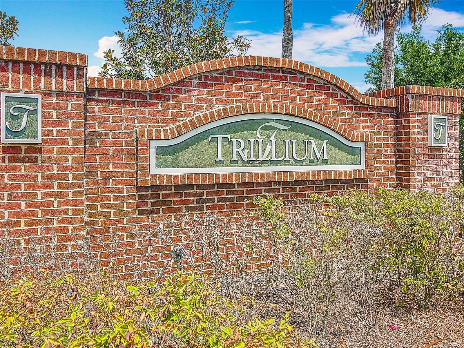 TRILLIUM VILLAGE C PH 2B - Residential