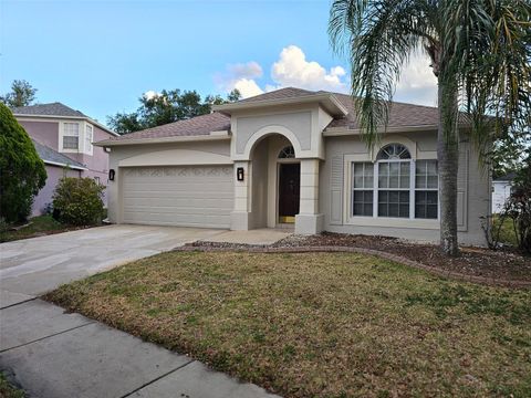 18423 MEADOW BLOSSOM LANE TAMPA FL 33647