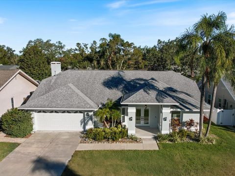 A home in SAFETY HARBOR