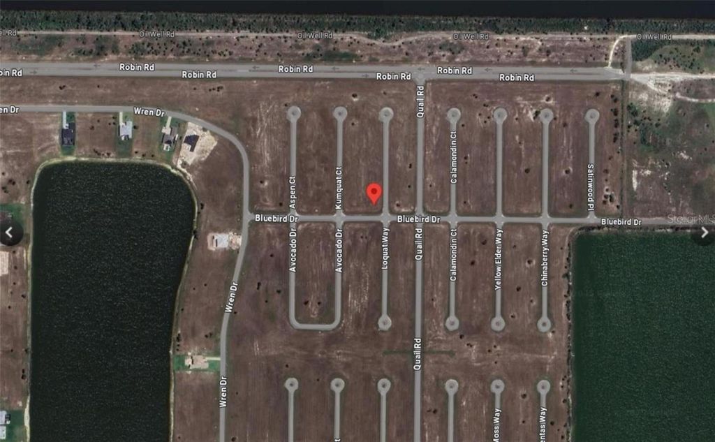 Photo of 19 Loquat Way, Placida, FL 33946 (MLS # O6335341)