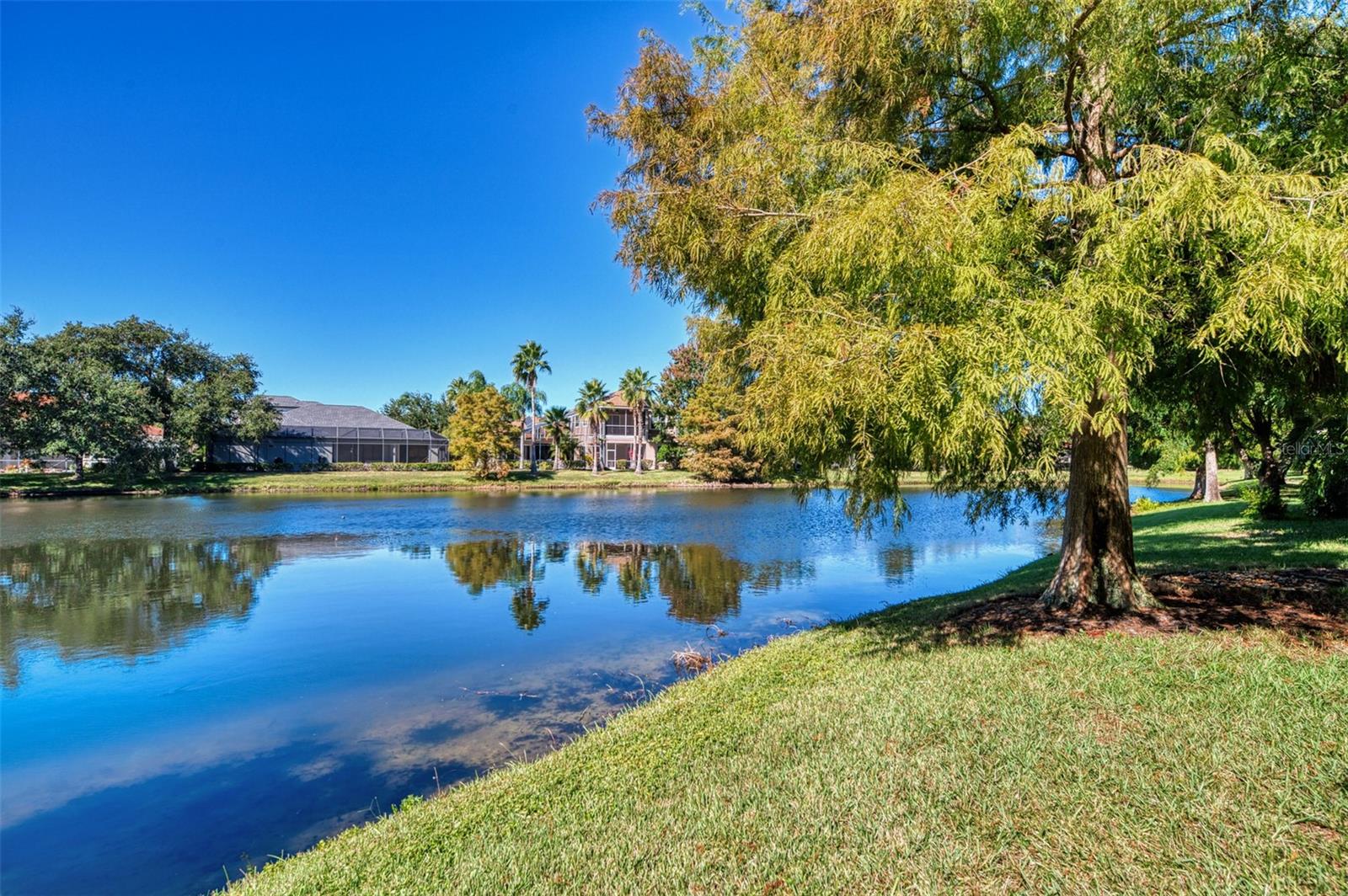 GREENBROOK VILLAGE SP Y - Residential