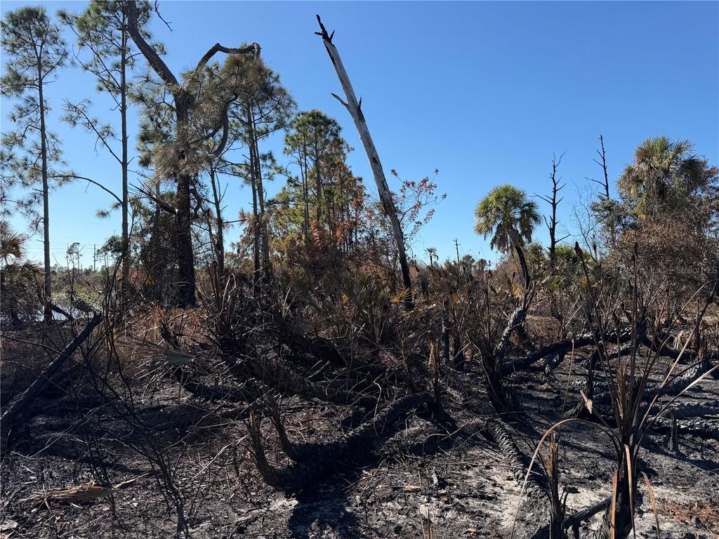 Photo of Fielders Road, North Port, FL 34288 (MLS # C7519537)