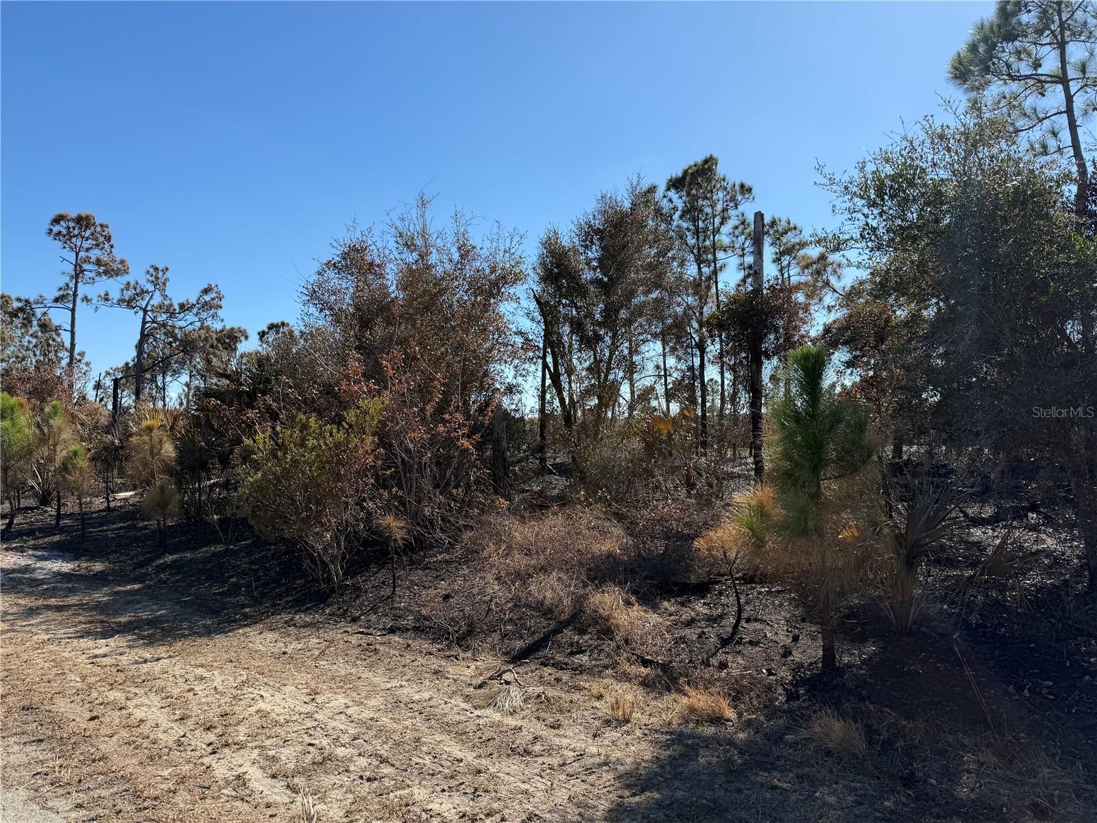 PORT CHARLOTTE SUB 46 - Land