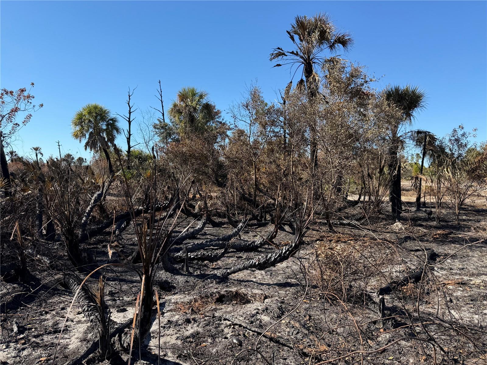 PORT CHARLOTTE SUB 46 - Land