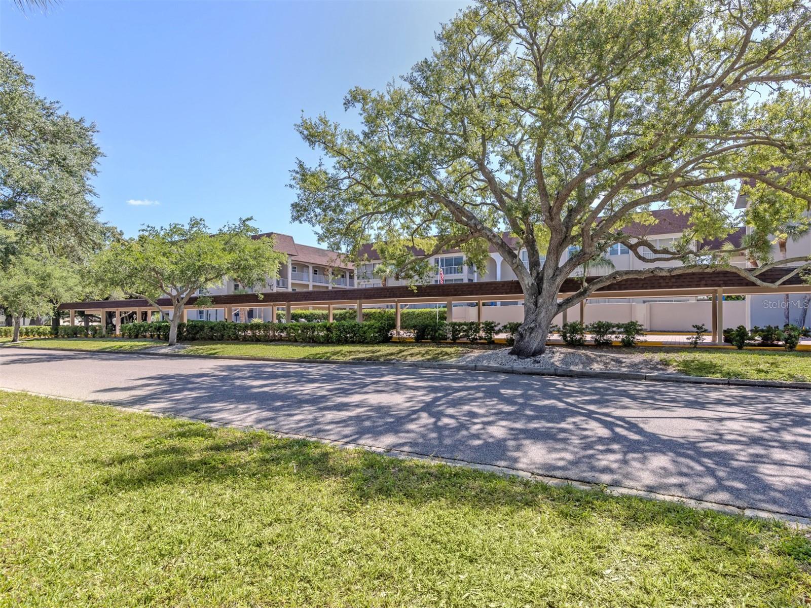VENICE PARK - Residential