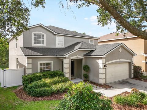 11132 CREEK HAVEN DRIVE RIVERVIEW FL 33569