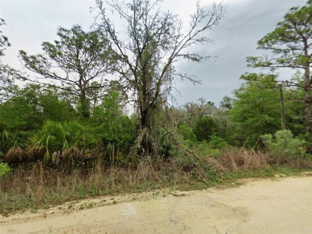 Photo of 9575 N Westwood Acres Ter, Crystal River, FL 34428 (MLS # S5138776)
