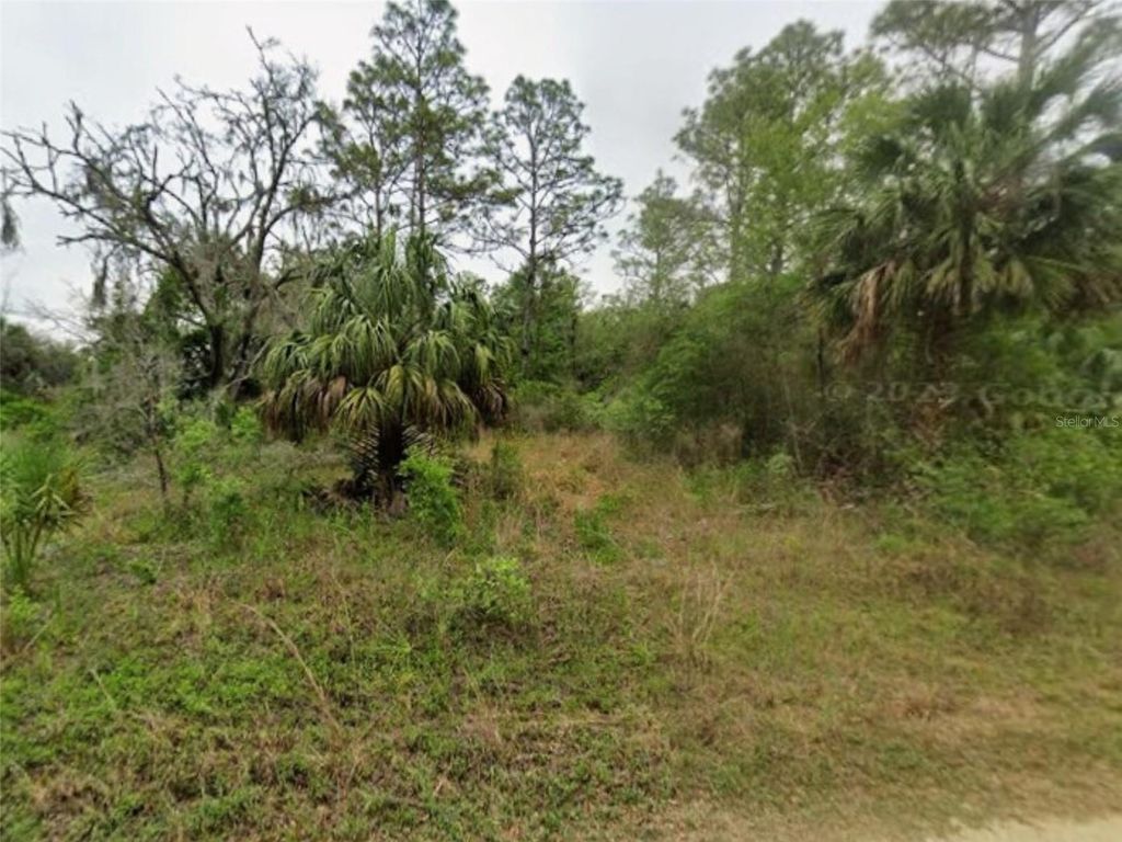 Photo of 9575 N Westwood Acres Ter, Crystal River, FL 34428 (MLS # S5138776)
