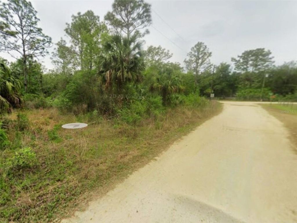 Photo of 9575 N Westwood Acres Ter, Crystal River, FL 34428 (MLS # S5138776)