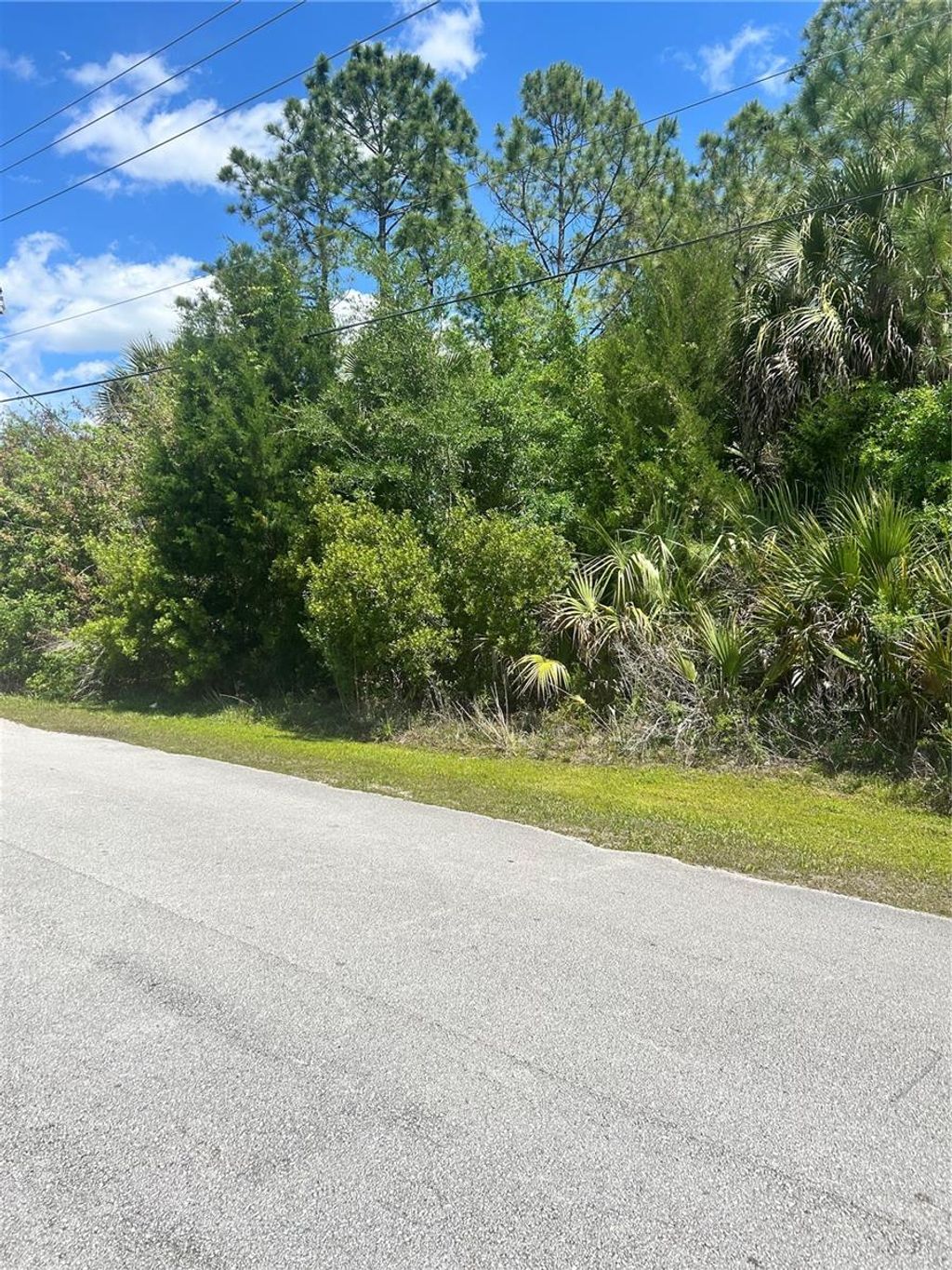 Photo of 27 Birchwood Drive, Palm Coast, FL 32137 (MLS # FC317874)