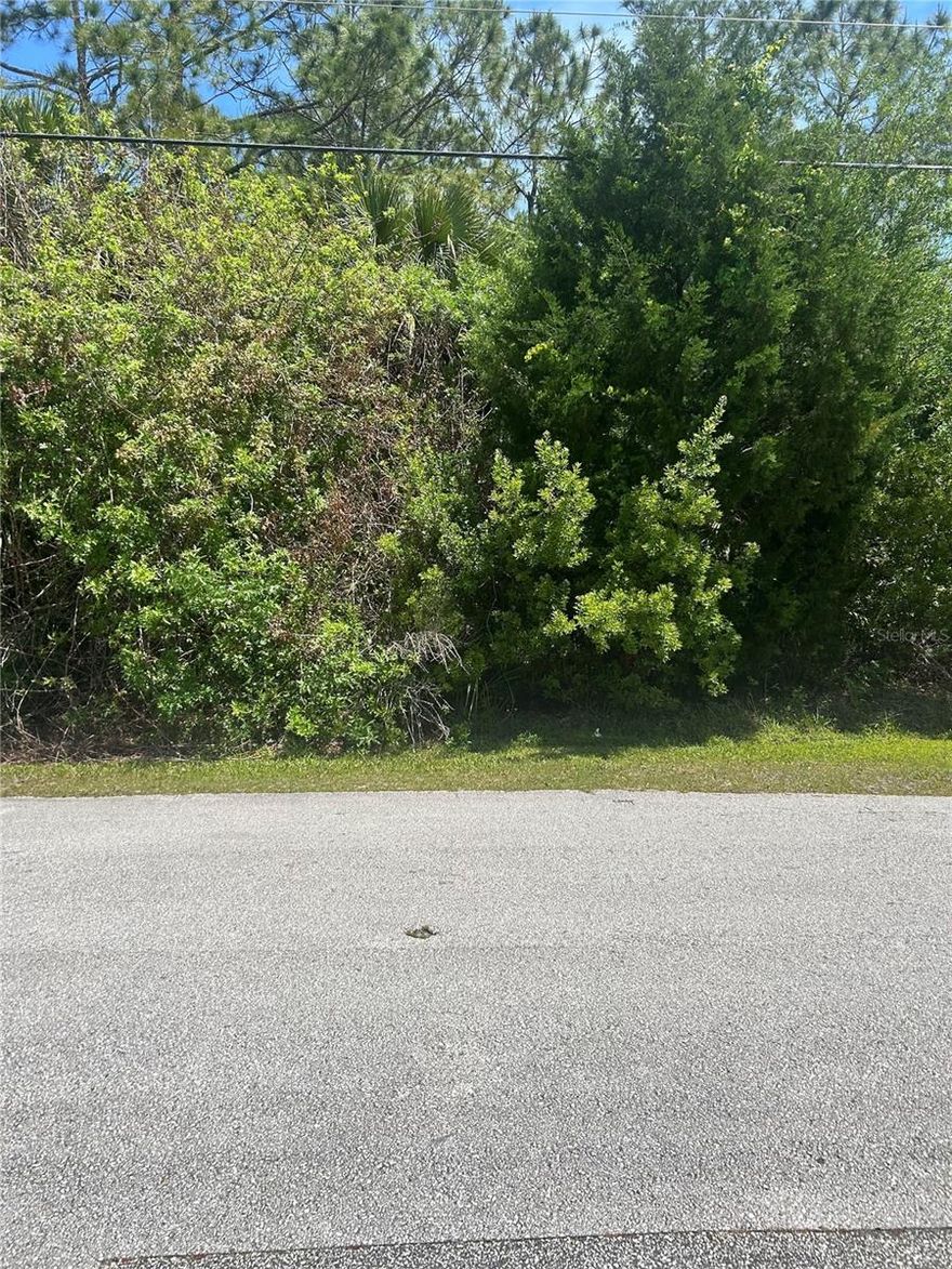 build your dream home on this beautiful vacant lot located at 27 Birchwood Drive!  This lot provides a perfect setting while still being just minutes from shopping, dining, schools, and major roadways.  Whether you're looking to build now or invest for the future, this property offers endless potential.  With ample space to design a custom home, you can truly create a space tailored to your lifestyle.  Don't miss this opportunity to won a piece of land in this Palm Coast neighborhood.  Bring your vision and make it a reality.