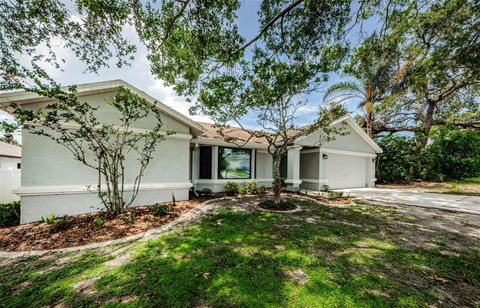 2609 SUNNYSIDE CIRCLE PALM HARBOR FL 34684