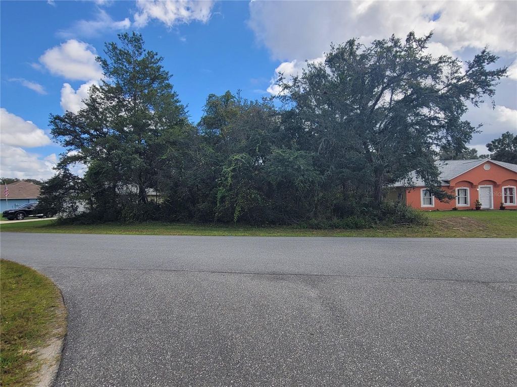 Photo of SW 133rd Loop, Ocala, FL 34473 (MLS # OM712028)