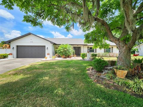 4102 STONEHENGE ROAD MULBERRY FL 33860