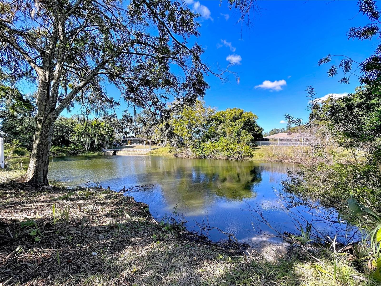 EMBASSY HILLS - Residential