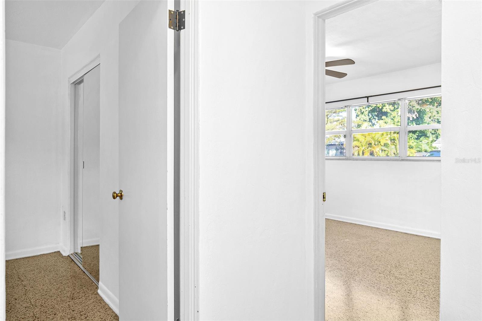 ORANGE PARK - Residential