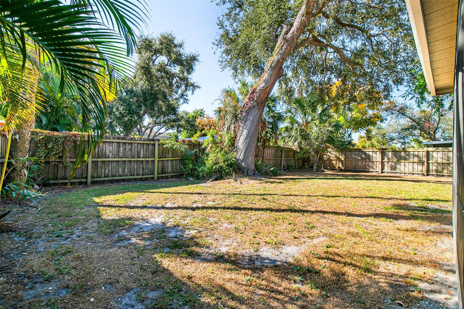 ORANGE PARK - Residential