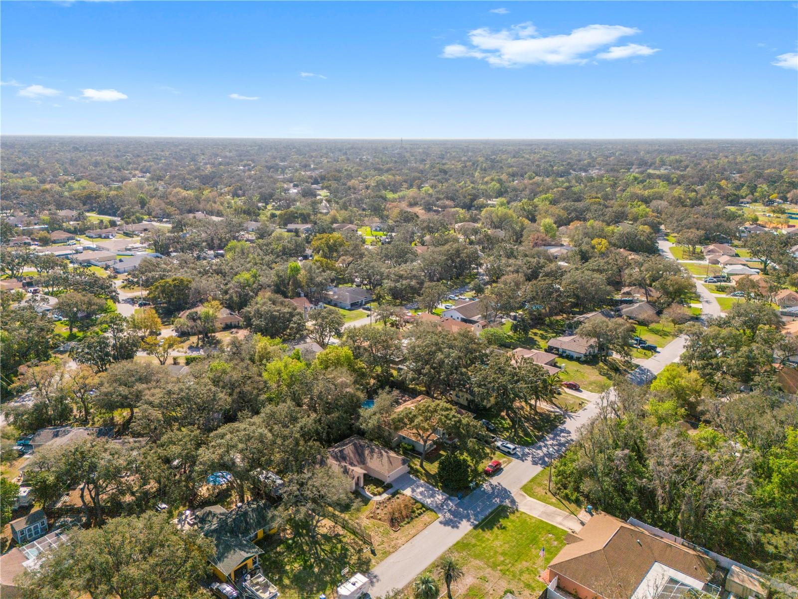 SPRING HILL - Residential