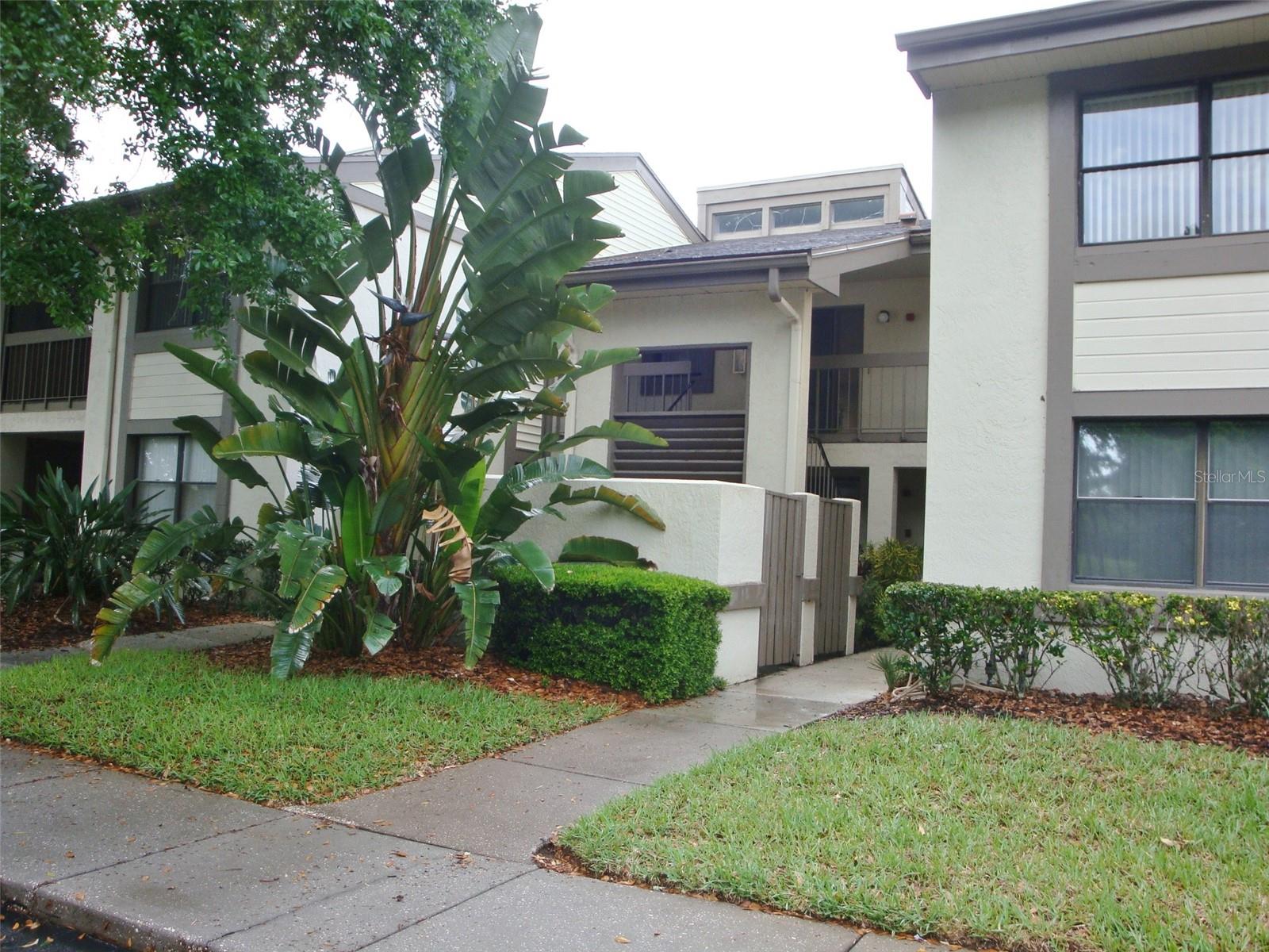 FULLY FURNISHED, second floor condo with vaulted ceilings in the Woodlake Run area of gated East Lake Woodlands Country Club community. Private foyer tiled entrance takes you to the dining/living area with vaulted ceilings and clear view windows to keep it light and bright. Efficient kitchen with window has built in microwave, wall pantry and pass thru window into the living area. Sliders from the living area and the bedroom out to the screen enclosed wrap around lanai has storage closet, ceiling fan, and utility closet where the washer and dryer are located. Bedroom with king size bed, ceiling fan, walk in closet and large linen closet. Bathroom offers large vanity area and shower/tub combination. Flat screen tv's in living area and bedroom. The community offers two heated pools and private membership to the golfing Country Club. This is a nonsmoking/vaping residence with water, sewer, trash, basic cable and internet included in the rent. No pets please.