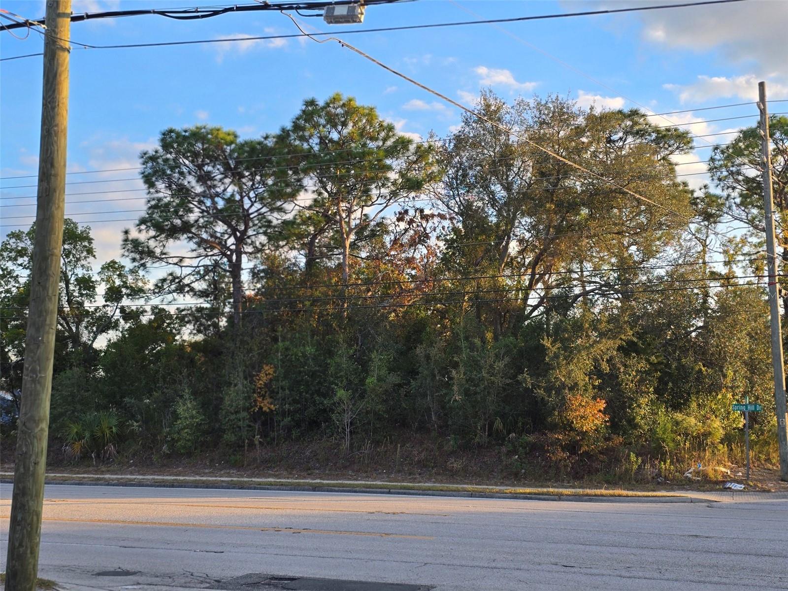 SPRING HILL - Land