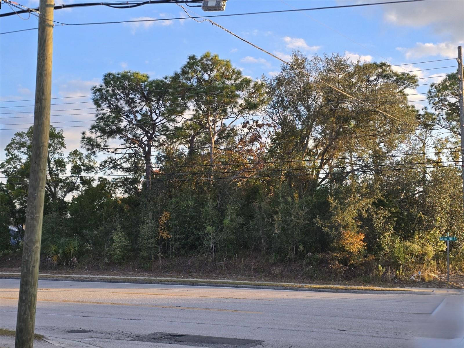 SPRING HILL - Land
