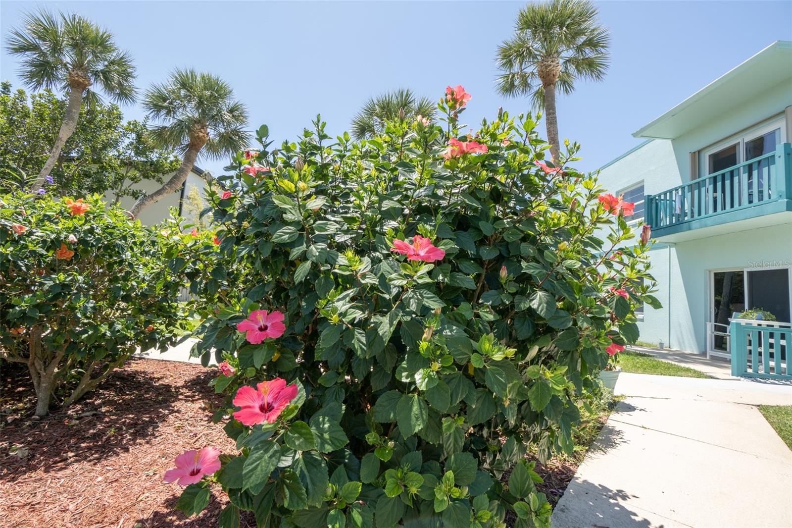 AVON BY SEA - Residential