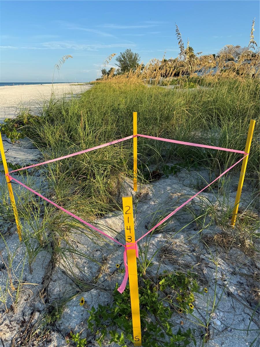 42ND STREET COASTAL COTTAGES - Residential