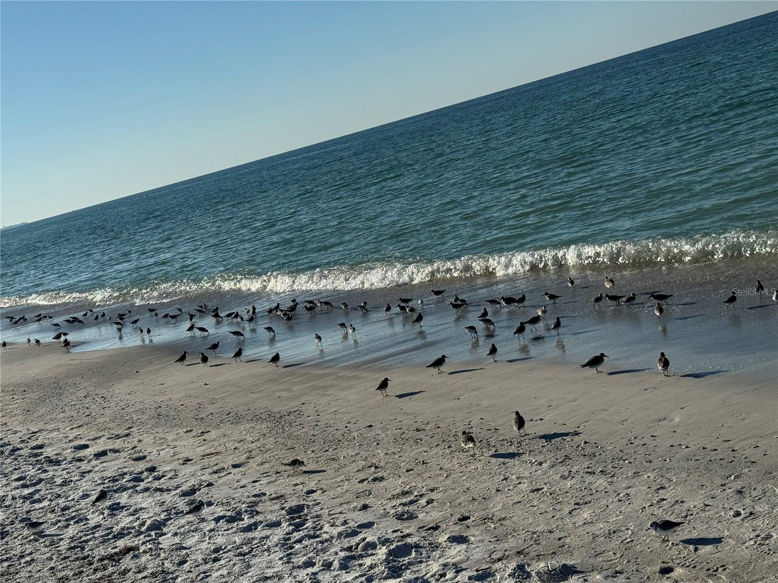 42ND STREET COASTAL COTTAGES - Residential