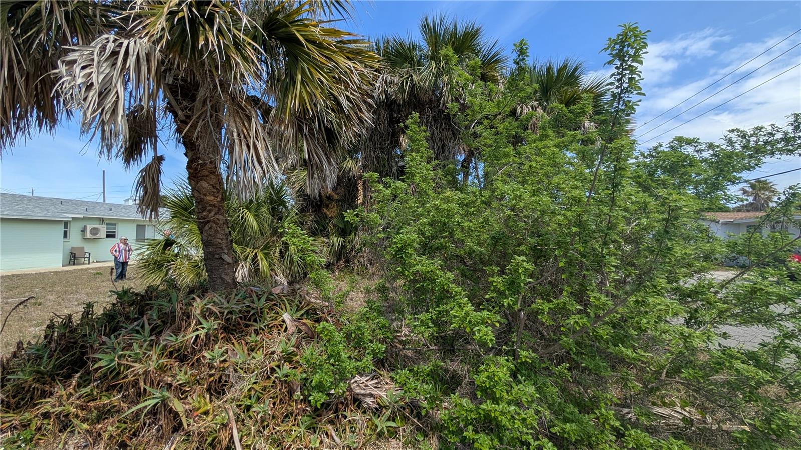 NEW SMYRNA BEACH - Residential