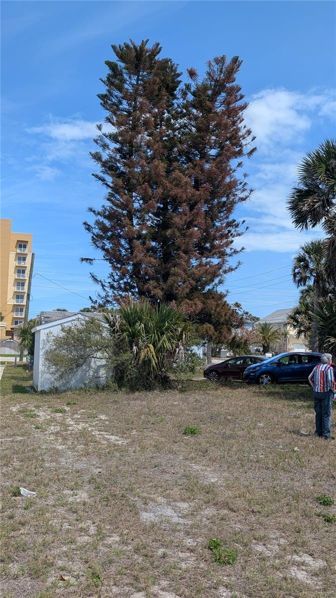 NEW SMYRNA BEACH - Residential