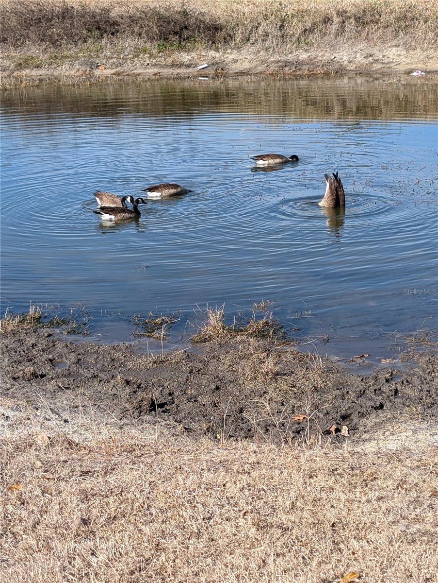 SPRUCE CRK SOUTH 03 - Residential