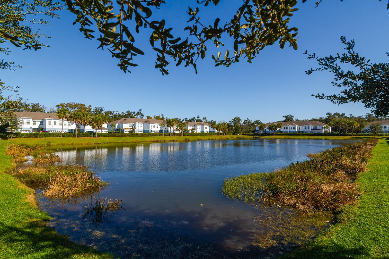 SIENNA PARK TWNHMS/UNIVERSITY - Residential