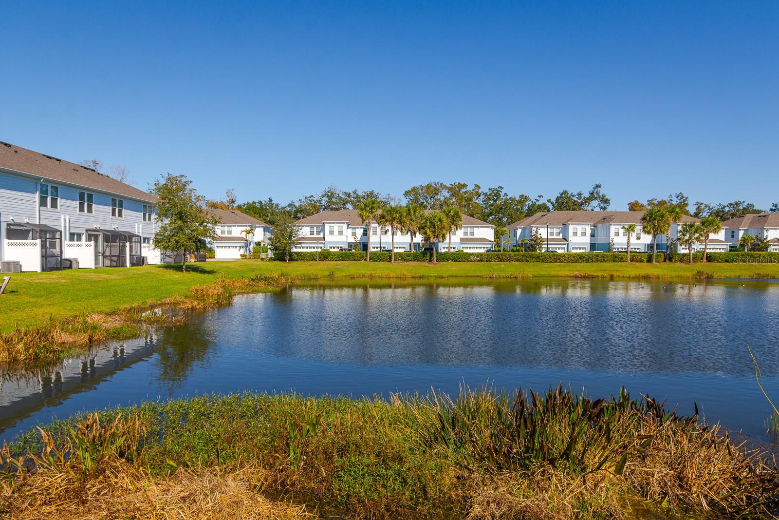 SIENNA PARK TWNHMS/UNIVERSITY - Residential