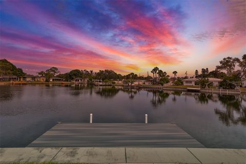 Photo of 4713 Dover Street NE, St Petersburg, FL 33703 (MLS # TB8430404)